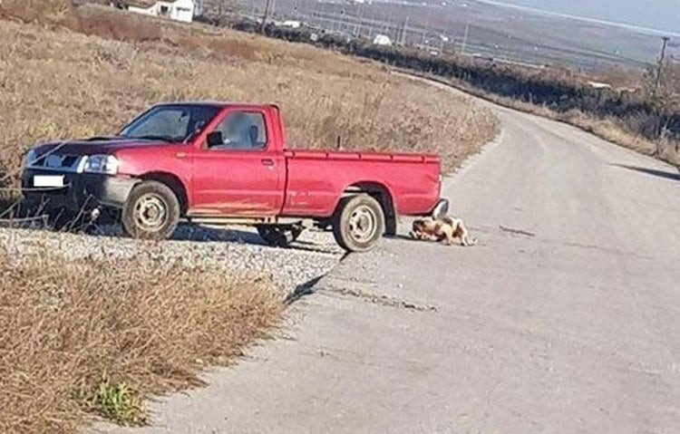 Κτηνωδία στη Λάρισα: Έδεσε και έσερνε σκύλο με το αγροτικό (εικόνες)